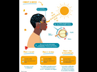 https://image.noelshack.com/fichiers/2025/08/2/1739904507-jdv-schema-depressionsaisonniere-1.jpg