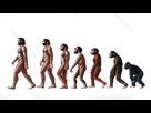 https://image.noelshack.com/fichiers/2025/08/3/1739966529-c0385349-stages-in-human-evolution-illustration.jpg