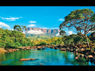 https://image.noelshack.com/fichiers/2025/08/3/1739968085-paysage-venezuela-chocolat-cacao-1600x.jpg