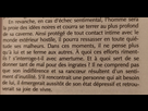 https://image.noelshack.com/fichiers/2025/08/3/1739991747-img-20250219-195138.jpg