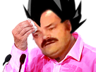https://image.noelshack.com/fichiers/2025/08/4/1740010224-fa93a-1.png