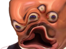 https://image.noelshack.com/fichiers/2025/08/4/1740010261-qrbhttrhtrh-2.png