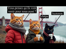 https://image.noelshack.com/fichiers/2025/08/5/1740157574-les-chats-de-l-apocalypse.png