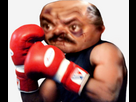 https://image.noelshack.com/fichiers/2025/08/6/1740182264-risita-boxe.png