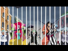 https://image.noelshack.com/fichiers/2025/08/6/1740235514-birdcage-ability-is-one-of-the-craziest-feats-in-one-piece-v0-0riiy4dejspd1.jpeg