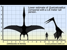 https://image.noelshack.com/fichiers/2025/08/7/1740266181-quetzalcoatlus-size.jpg