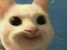 https://www.noelshack.com/2025-09-3-1740547389-1732260106-full-1-crop-20.jpg