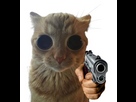 https://image.noelshack.com/minis/2025/09/3/1740558854-full.png
