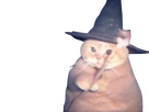 https://image.noelshack.com/fichiers/2025/09/4/1740657648-chat-sorcier-fait-des-farces.png