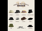 https://www.noelshack.com/2025-09-5-1740755460-infographie-modeles-chapeaux.jpg