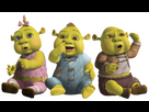 https://image.noelshack.com/fichiers/2025/09/5/1740761678-shrek-2.png