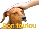 https://image.noelshack.com/fichiers/2025/09/6/1740784008-full-21.png