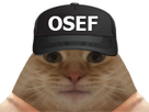 https://www.noelshack.com/2025-09-6-1740817596-full.png