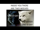 https://www.noelshack.com/2025-10-1-1741021853-inside-you-there-are-two-wolves.png