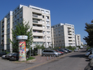 https://image.noelshack.com/fichiers/2025/10/1/1741026901-florealle-blanc-mesnil443-floreales-031.jpg