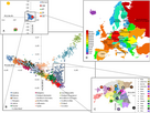 https://www.noelshack.com/2025-10-3-1741141429-european-genetic-structure-based-on-snps-pc-analysis.jpg