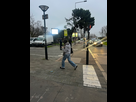 https://image.noelshack.com/fichiers/2025/10/4/1741248874-img-8858.jpeg