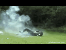 https://www.noelshack.com/2025-10-4-1741299462-ggz3.gif