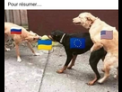 https://image.noelshack.com/fichiers/2025/10/5/1741305704-img-2619.jpeg