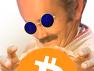 https://image.noelshack.com/fichiers/2025/11/2/1741702648-btc.png