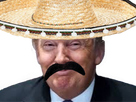 https://image.noelshack.com/fichiers/2025/11/2/1741713667-1604409393-donald-tronmp.png