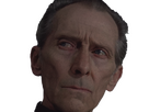 https://image.noelshack.com/fichiers/2025/11/2/1741729859-tarkin-11.png