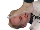 https://image.noelshack.com/fichiers/2025/11/3/1741751032-photoroom-20250212-030712.jpg