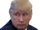 https://image.noelshack.com/fichiers/2025/11/5/1741982346-poutinetrump.png