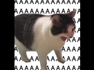 https://image.noelshack.com/minis/2025/11/6/1742056188-aaaaaaaaaaaaaaaa.png