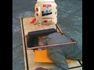 https://image.noelshack.com/fichiers/2025/11/7/1742099129-glybiruwuaajyto.jpg
