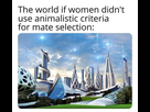https://image.noelshack.com/fichiers/2025/11/7/1742120487-img-8069.jpeg