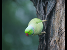 https://image.noelshack.com/fichiers/2025/12/1/1742218428-shot-from-fuji-xt3-100-400-mm-v0-gz43981we3tc1.jpg