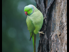 https://image.noelshack.com/fichiers/2025/12/1/1742218469-shot-from-fuji-xt3-100-400-mm-v0-qtnoom8xe3tc1.jpg