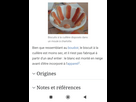 https://image.noelshack.com/fichiers/2025/12/2/1742308766-screenshot-2025-03-18-15-37-39-068-com-android-chrome-edit.jpg
