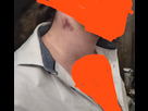 https://image.noelshack.com/fichiers/2025/12/2/1742330616-20250318-204155.jpg