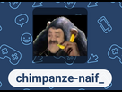 https://www.noelshack.com/2025-12-4-1742427512-img-1832.jpeg