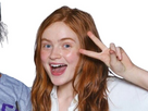 https://image.noelshack.com/fichiers/2025/12/4/1742432343-sadie-1-removebg-preview.jpg