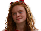 https://image.noelshack.com/fichiers/2025/12/4/1742432385-sadie-9-removebg-preview.jpg