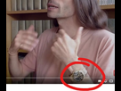 https://image.noelshack.com/fichiers/2025/13/2/1742901446-capture-d-cran-2025-03-25-121723.jpg