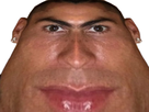 https://www.noelshack.com/2025-13-3-1742991714-htrh-1.png