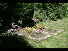 https://image.noelshack.com/fichiers/2025/13/4/1743070486-cimetiere-1.jpg