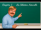 https://image.noelshack.com/fichiers/2025/13/5/1743201306-naturelle-tableau.jpg