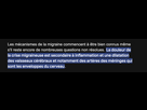 https://image.noelshack.com/fichiers/2025/13/6/1743288500-image.png
