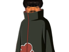 https://image.noelshack.com/fichiers/2025/14/2/1743516585-1626980691-selectionakatsuki3.png