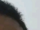 https://image.noelshack.com/fichiers/2025/14/3/1743576628-11-b2jbyn93.png