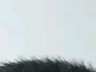 https://image.noelshack.com/fichiers/2025/14/3/1743576628-4-b2jbyn93.png