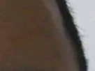 https://image.noelshack.com/fichiers/2025/14/3/1743576645-17-b2jbyn93.png