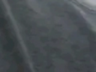 https://image.noelshack.com/fichiers/2025/14/3/1743576694-48-b2jbyn93.png