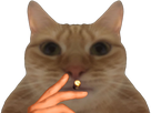 https://image.noelshack.com/fichiers/2025/14/5/1743757388-full39.png