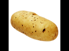 https://image.noelshack.com/fichiers/2025/14/6/1743864531-pomme-de-terre-ratte.png
